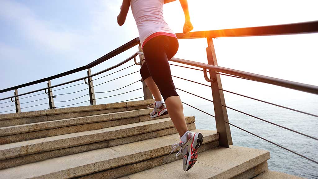 expensive gym clothes ns lead