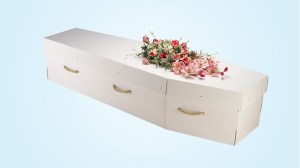 cardboard coffin on choice blue background