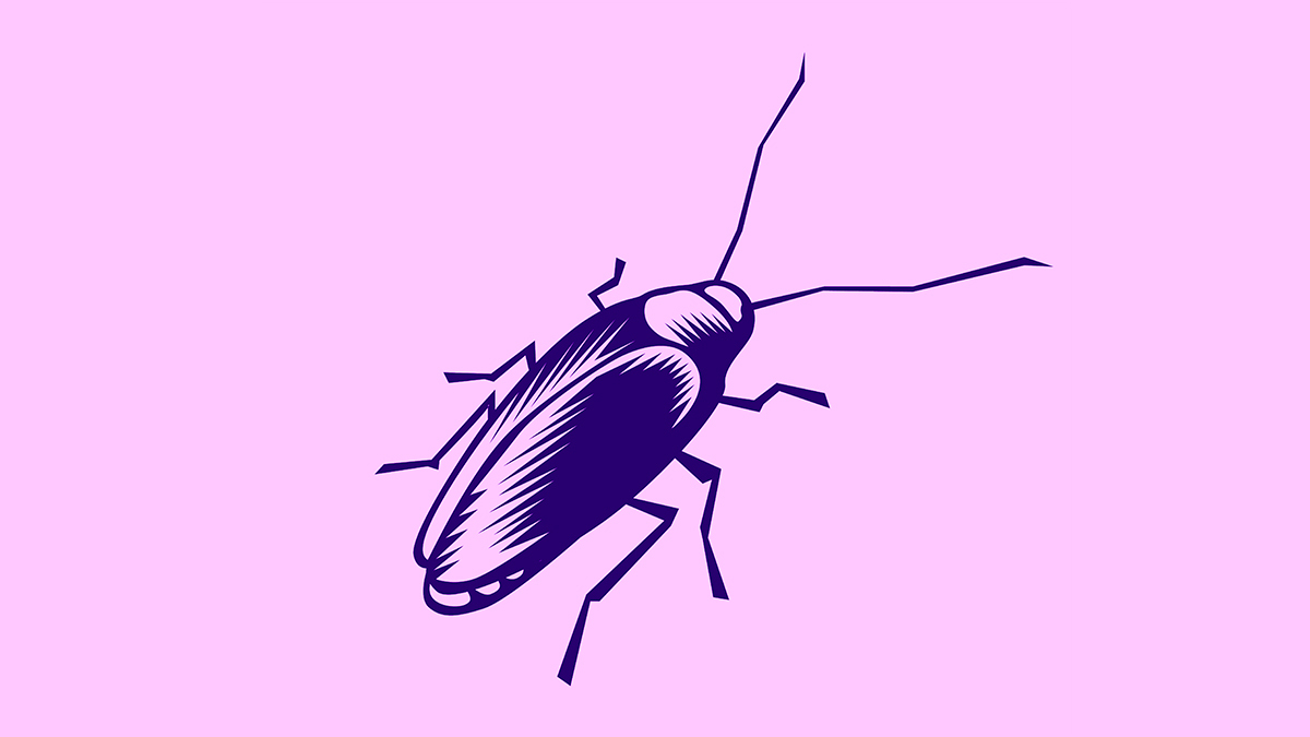 cockroach