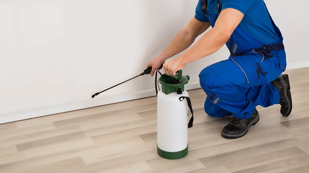 exterminator spraying for termites