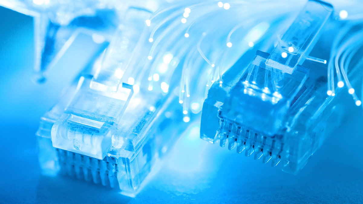 closeup of ethernet cable connections and fibre optics