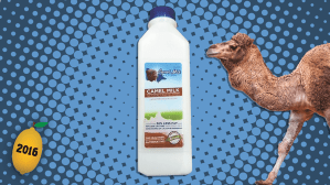 shonkys 2016 camel milk