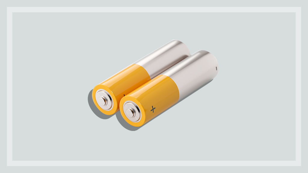 Disposable batteries