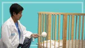 CHOICE tester Antonio Bonacruz assessing a cot