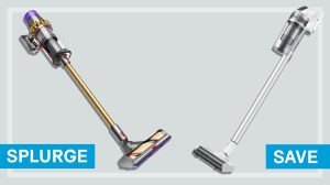 splurge and save stick vacuums dyson cyclone v11 samsung jet 70 pet lead