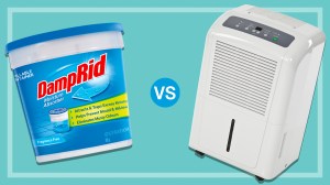 damprid and a dehumidifier